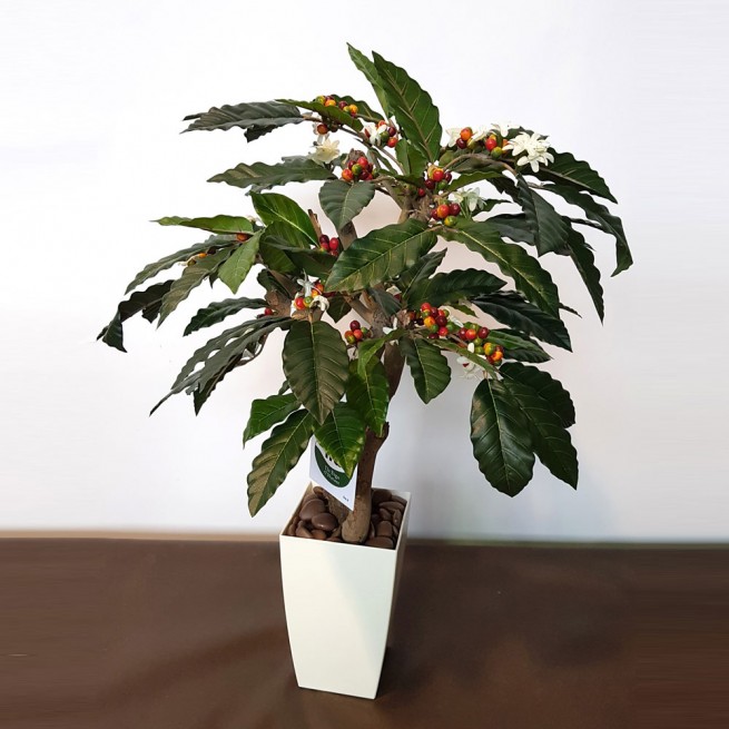 Planta semi-artificiala Ila, Coffee Robustina - 80 cm
